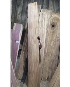 Monkeypod