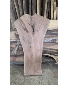 Black Walnut