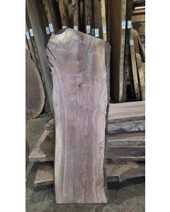 Black Walnut