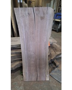 Black Walnut