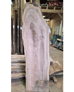 Black Walnut