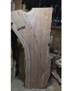 Black Walnut