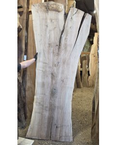 Black Walnut