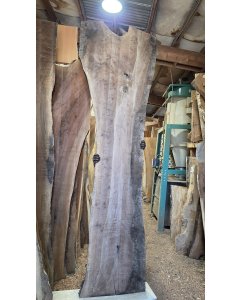 Black Walnut