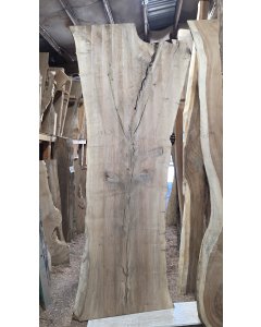 Black Walnut