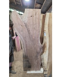 Black Walnut
