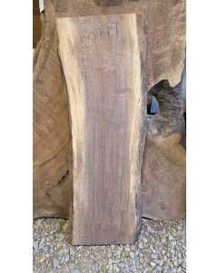 Black Walnut 
