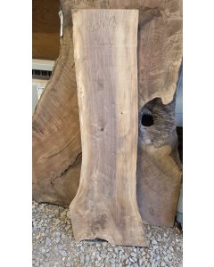 Black Walnut 