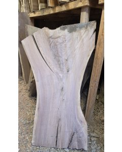 Black Walnut 