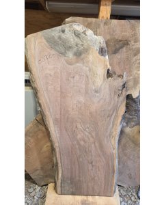 Black Walnut