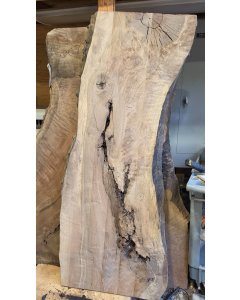 Black Walnut