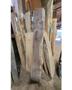 Black Walnut