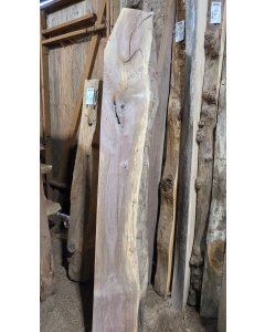 Black Walnut