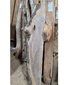 Black Walnut