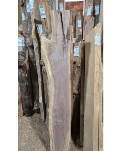 Black Walnut