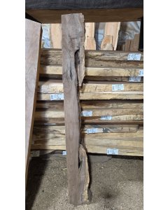 Black Walnut