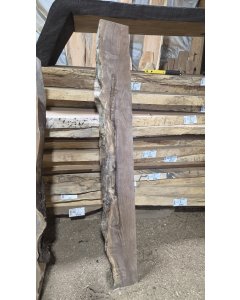 Black Walnut