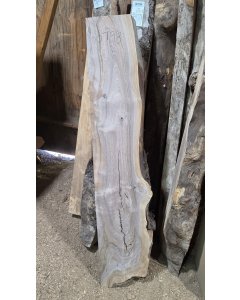 Black Walnut