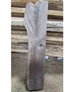 Black Walnut