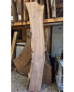 Black Walnut