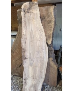 Bastogne Walnut