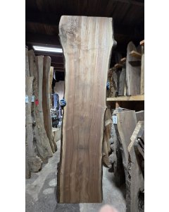 Black Walnut 
