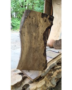 Bastogne Walnut