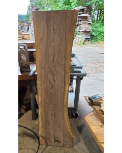 Black Walnut 