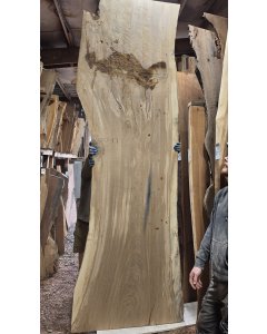 White Oak 