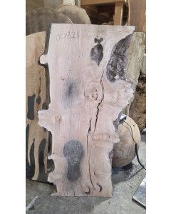Big Leaf Maple