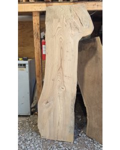 Elm
