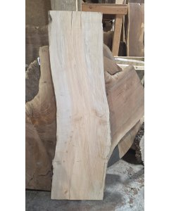 Big Leaf Maple 
