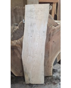 Big Leaf Maple 
