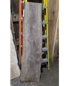 Black Walnut