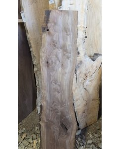 Black Walnut