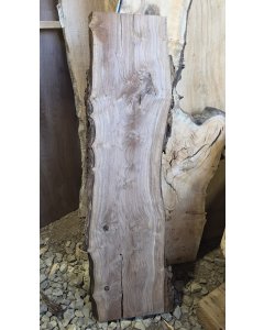 Black Walnut