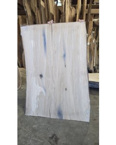 White Oak 