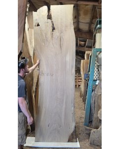 White Oak