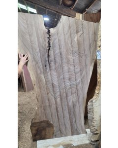 Black Walnut