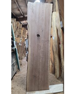Black Walnut
