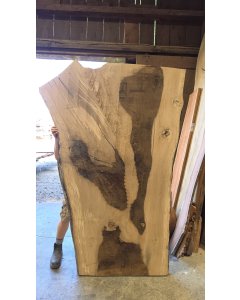 White Oak 