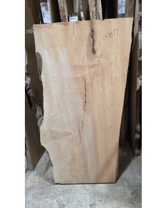 Big Leaf Maple