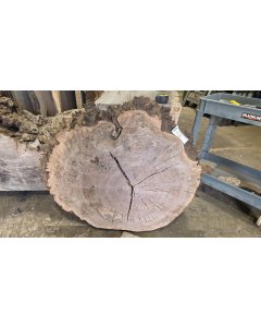 Walnut Burl 