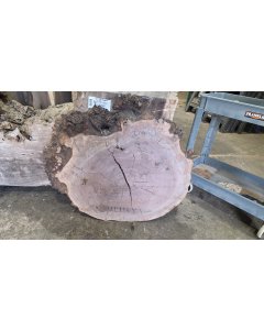 Walnut Burl 