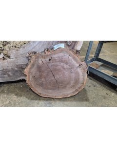 Black Walnut 