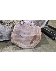 Black Walnut