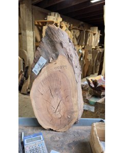 Black Walnut 