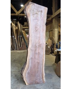Black Walnut
