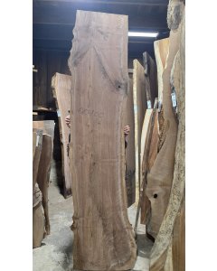 Black Walnut