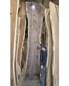 Black Walnut